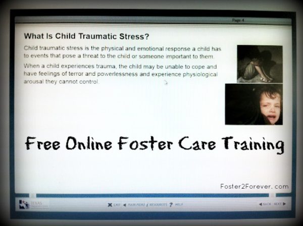 Free Online Foster Care Training Foster2Forever